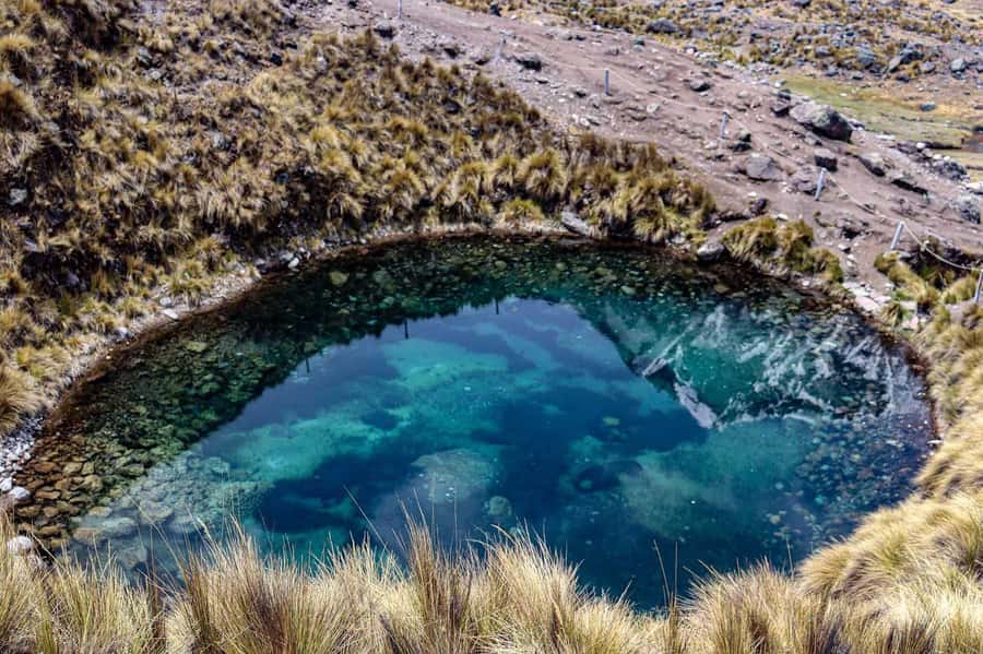 From Cusco: 7 Lagoons Tour - Key points to know before booking