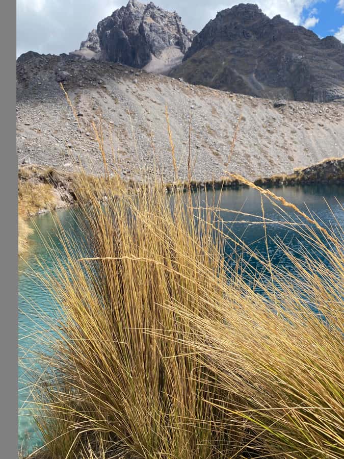 From Cusco: 7 lakes with hot springs in Ausangate and meals - Forty minutes in Pacchanta’s hot springs