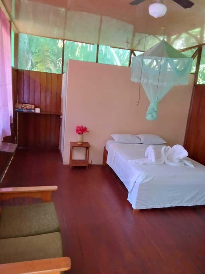 From Cusco: Amazon jungle for two days with sleeper bus and private lodge - Guides, group size, and communication