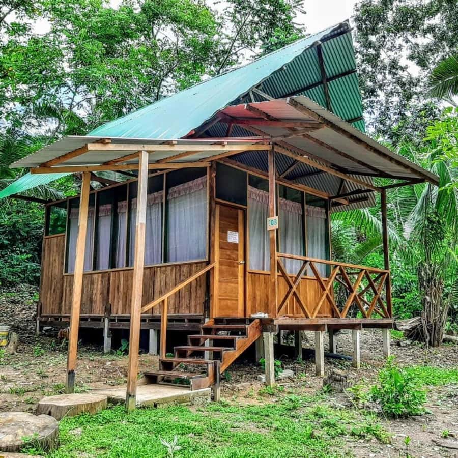 From Cusco: Amazon jungle for two days with sleeper bus and private lodge - Packing for a basic but comfortable jungle stay