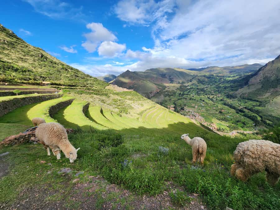 From Cusco: Chinchero, Moray, Maras, Ollantaytambo and Pisaq - The hidden cost of a very cheap tour