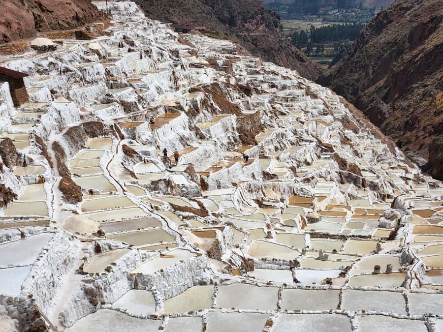 From Cusco: Chinchero, Moray, Maras, Ollantaytambo, Pisaq - The guide and driver matter more than usual