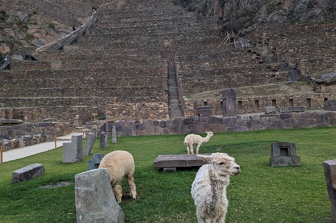 from Cusco:Chinchero,Moray & Salt Mines drop-off in Ollantaytambo - Urubamba lunch: a useful pause at the midpoint