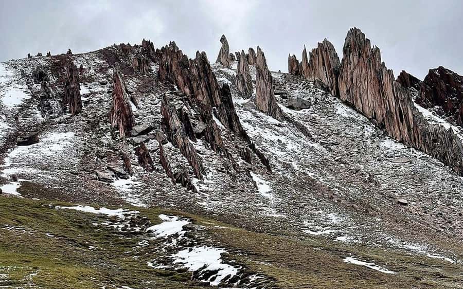 From Cusco: Full day Palccoyo Mountain tour - Red Valley, stone forest, and Andean wildlife