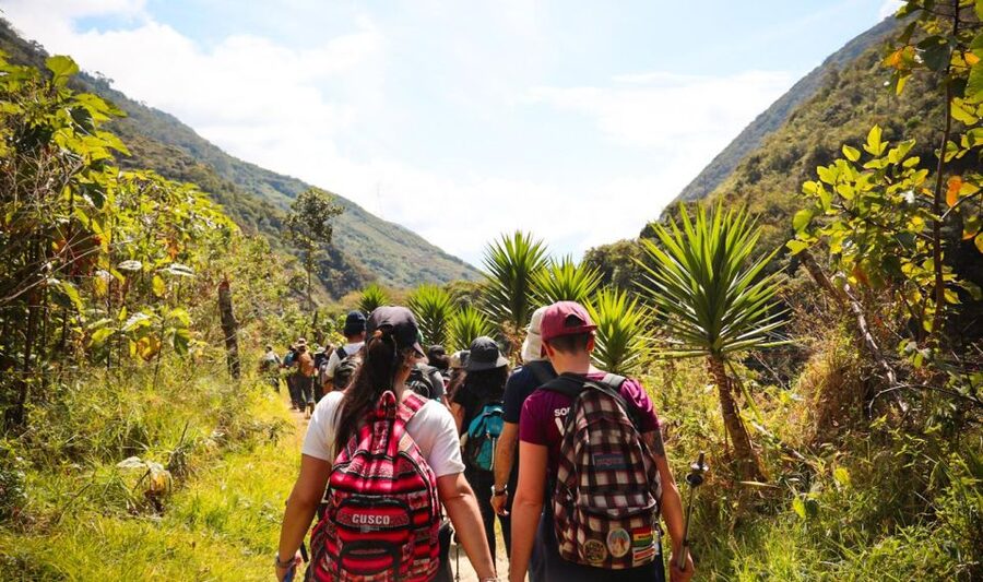 From Cusco: Full-Day Round-Trip Train Tour to Machu Picchu - Inside Machu Picchu with a guide