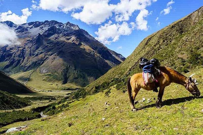 From Cusco: Humantay Lake with Breakfast and Buffet Lunch - Horses, coca tea, and sensible pacing