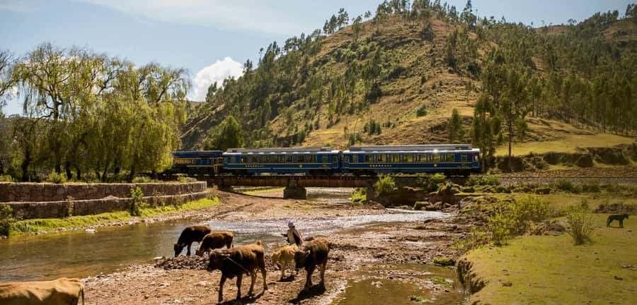 From Cusco: Machu Picchu Full-Day Guided Tour - What the $465 price really covers