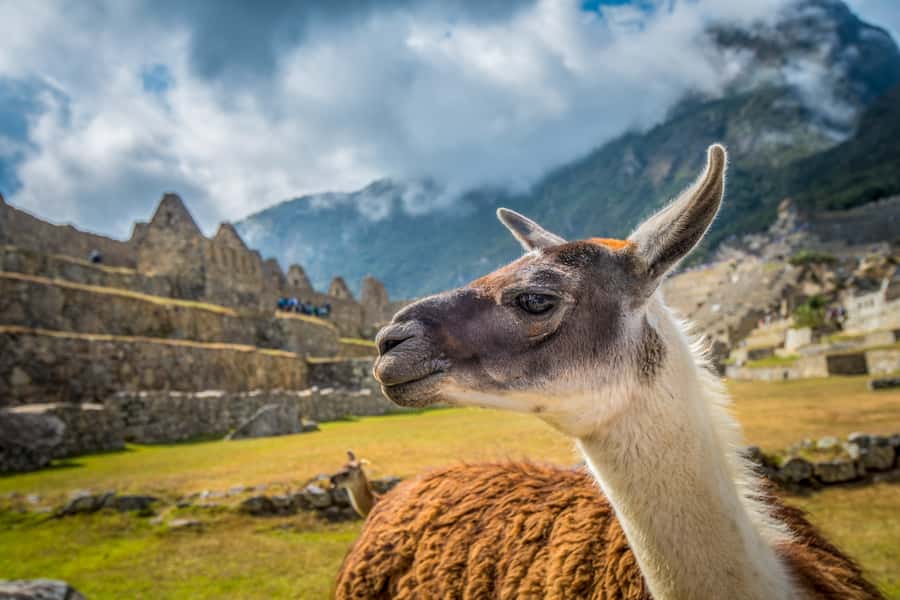 From Cusco: Machu Picchu Full-Day Guided Tour - Entering Machu Picchu and seeing the Inca city