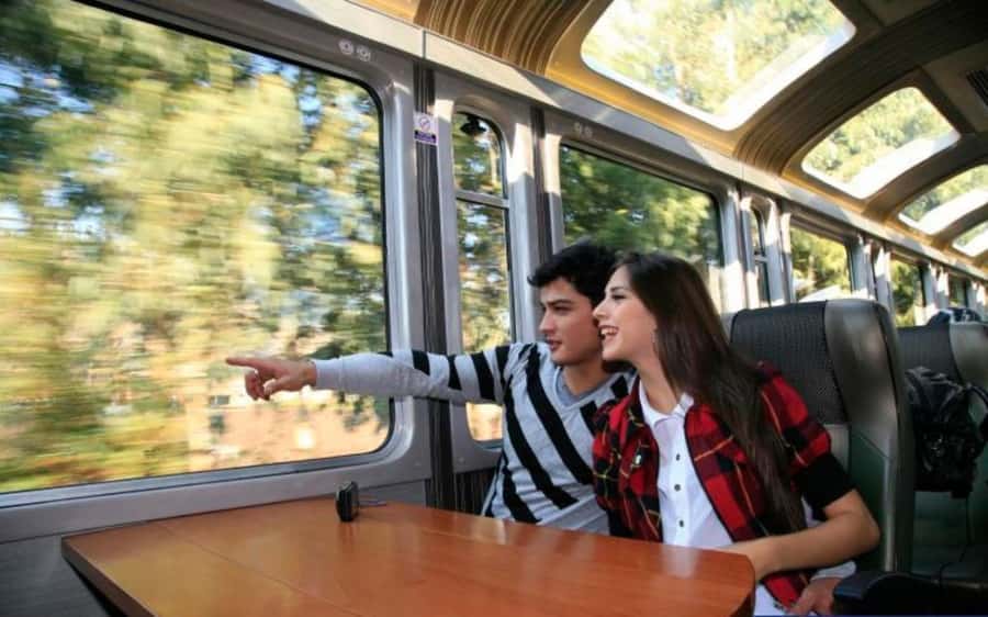From Cusco: Machu Picchu Private Day Trip on Panoramic Train - Key points to know before you book