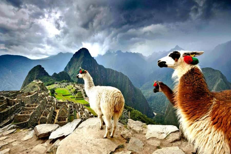 From Cusco:MachuPicchu Excursion 1 day plus Ticket and Train - Key points to know before booking