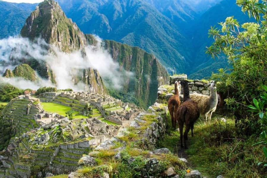 From Cusco:MachuPicchu Excursion 1 day plus Ticket and Train - Why this Machu Picchu day trip works