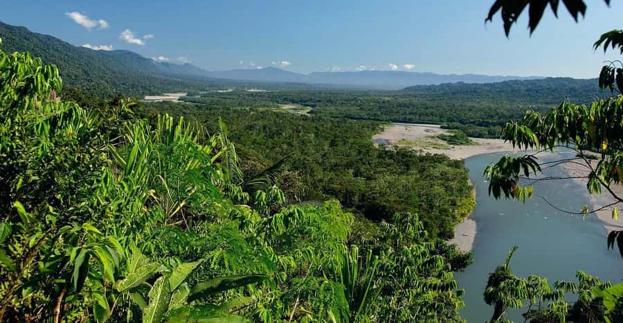 From Cusco: Manu National Park 3 Day Tour - River time, swamp birds, and a search for caimans