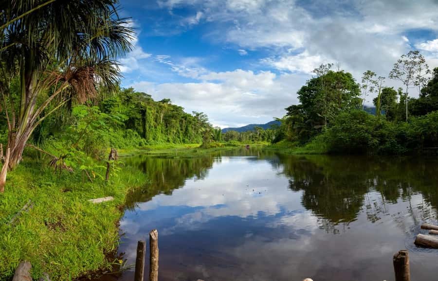 From Cusco: Manu National Park Tour & Accommodation 3 Days - Value, timing, and who should book