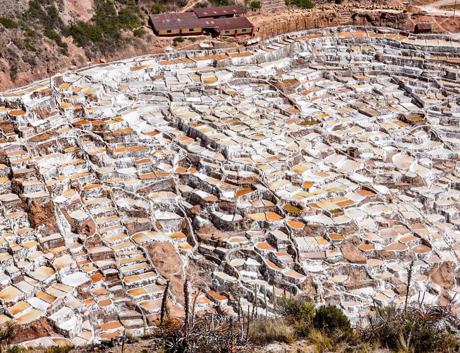 From Cusco: Moray, Maras Salt Mines & Chinchero Weavers Tour - Maras Salt Mines: 3,000 pools on a steep valley wall