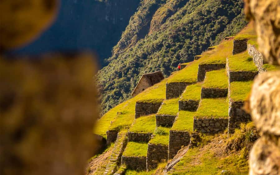From Cusco: One-Day Round Trip to Machu Picchu by Train - The bus ride up to the citadel
