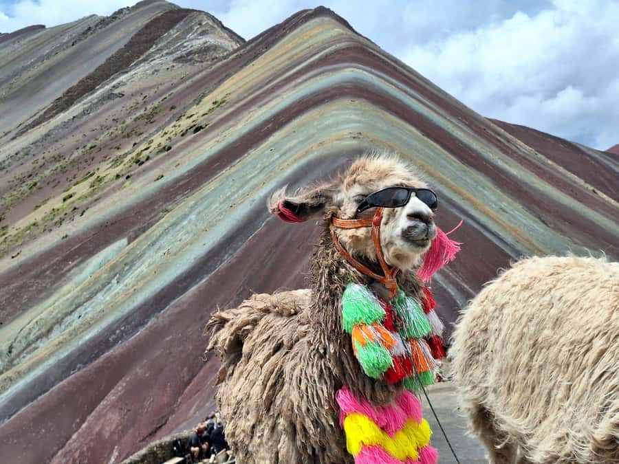 From cusco: Rainbow Mountain ATV Tour with meals - One hour at the colored mountain