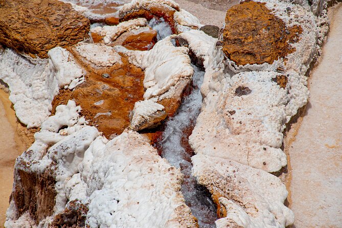From Cusco: Sacred valley and Moray salt Mines - Moray turns farming into architecture