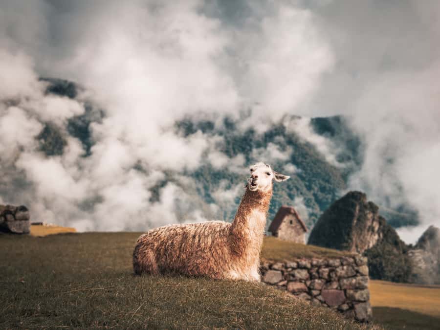 From Cusco: Sacred Valley & Machu Picchu 2-Day Tour by Train - Ollantaytambo: the last Inca stop before the train