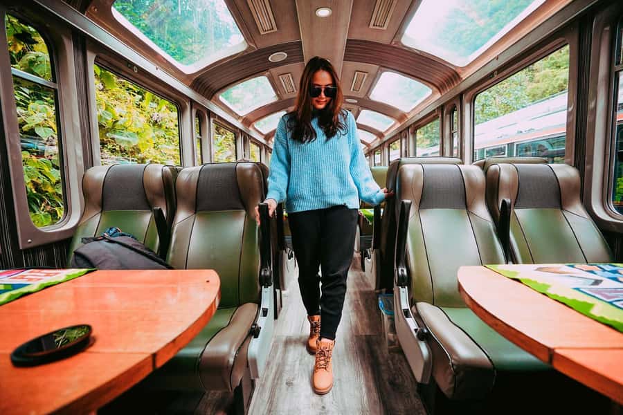 From Cusco: Train Ride and Guided Tour of Machu Picchu - The Sacred Valley from a Panoramic train window