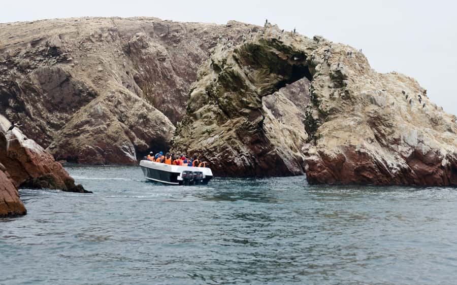 From Huacachina: Ballestas and Paracas Reserve - GROUP TOUR - Key points before you book