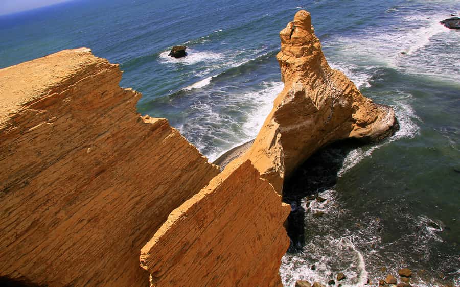 From Huacachina: Ballestas and Paracas Reserve - GROUP TOUR - Ballestas Islands: the best two hours of the day