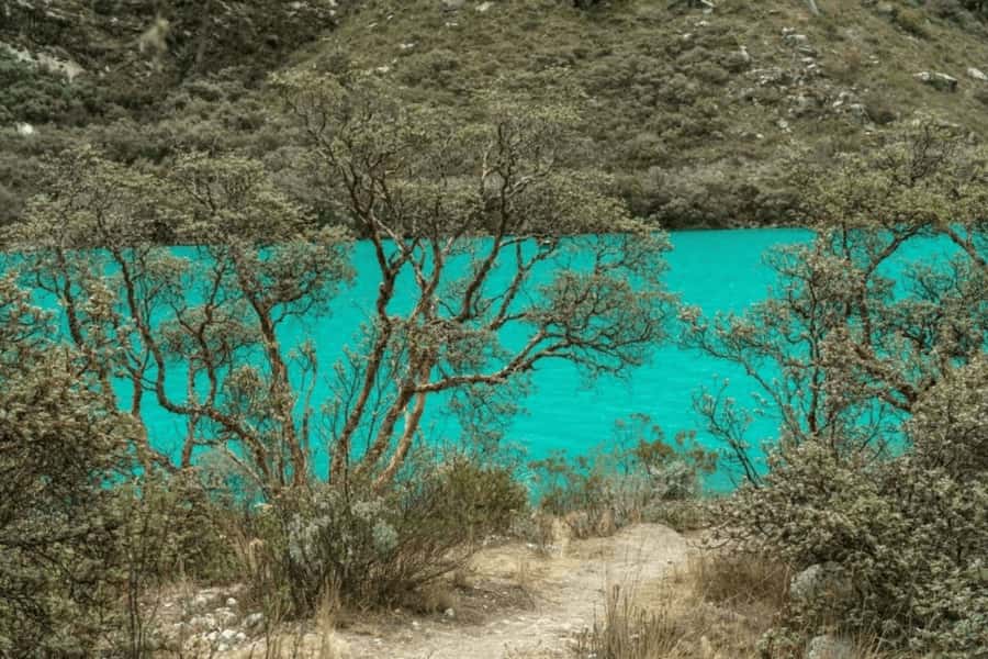 From Huaraz: Tour to Llanganuco Lakes (Chinancocha Lake) - Taricá and the pottery stop