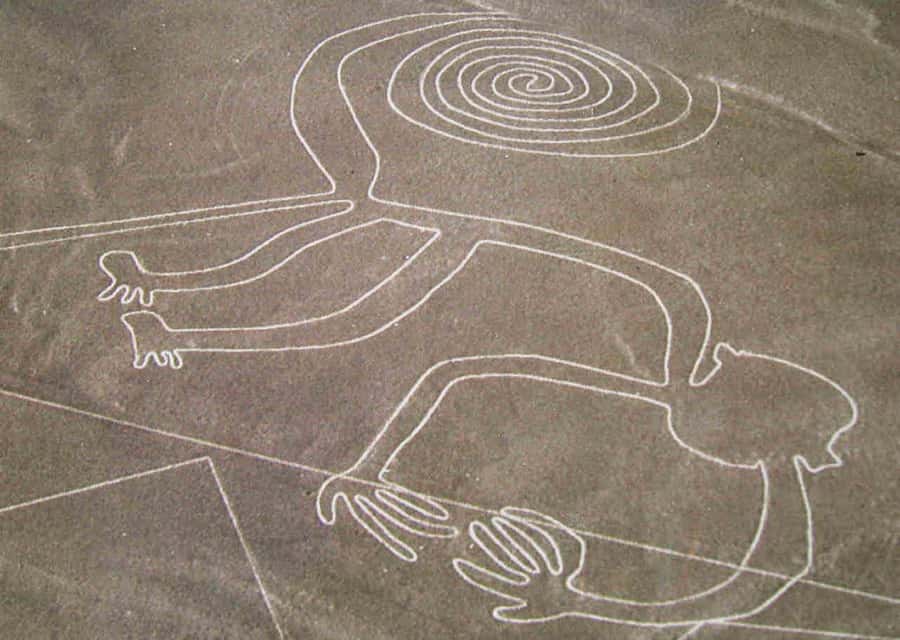 From Ica: Flight over the Nazca Lines - Key points to know before booking