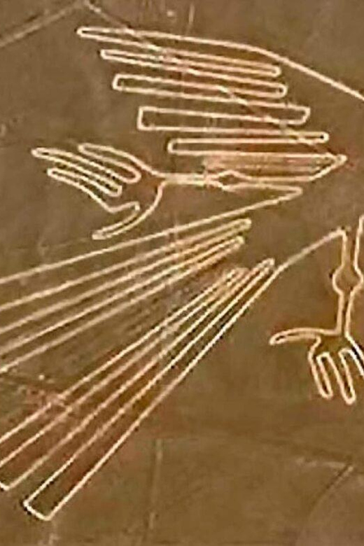 From Ica: Flight over the Nazca Lines - The 35-minute flight over the geoglyphs