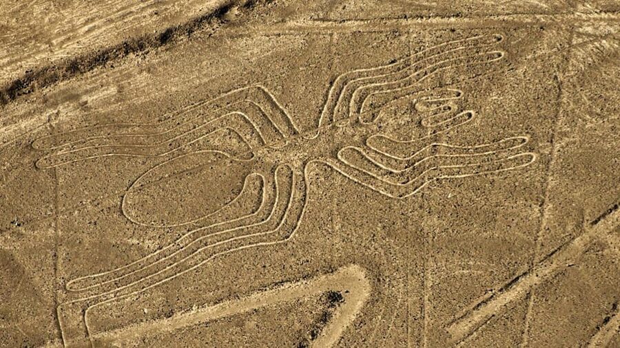 From Ica: Flight over the Nazca Lines - Communication and booking tips that matter