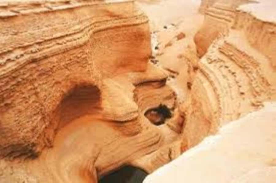 From Ica || Full Day Excursion to Los Perdidos Canyon || - The best parts of the day