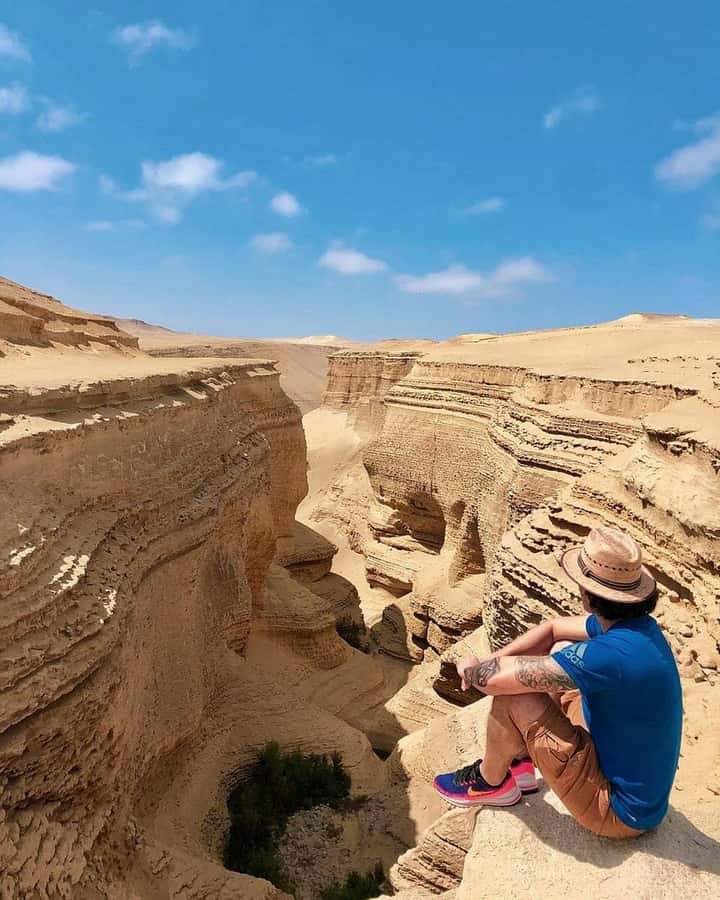 From Ica | Huacachina : Canyon de Los Perdidos | Full Day - Comfort, group size, and the real eight-hour schedule