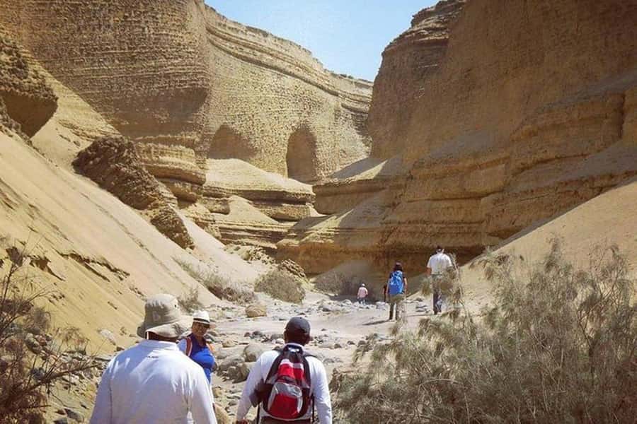 From Ica | Huacachina : Canyon de Los Perdidos | Full Day - Is $49 a fair price?