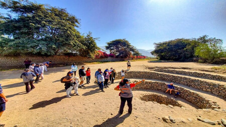From Ica or Huacachina: Day Trip to Nazca - Booking advice for a smoother day