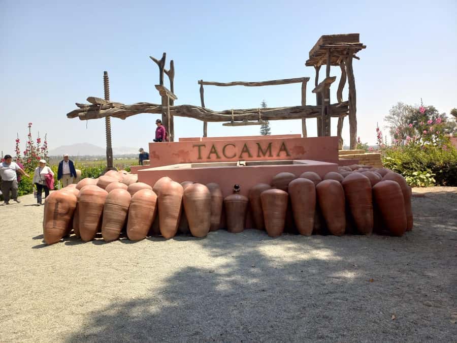 From Ica or Huacachina: Tour to Tacama Vineyard and Artisanal Winery. - Meeting four generations at La Vieja Bodega Lovera