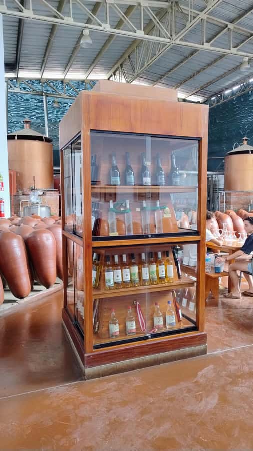 From Ica or Huacachina: Tour to Tacama Vineyard and Artisanal Winery. - Transport, timing, and the group-tour rhythm