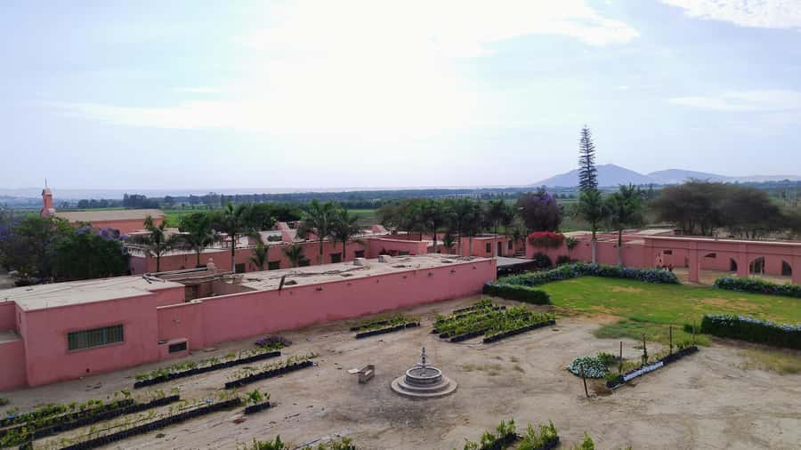 From Ica or Huacachina: Tour to Tacama Vineyard and Artisanal Winery. - What to bring for a comfortable visit