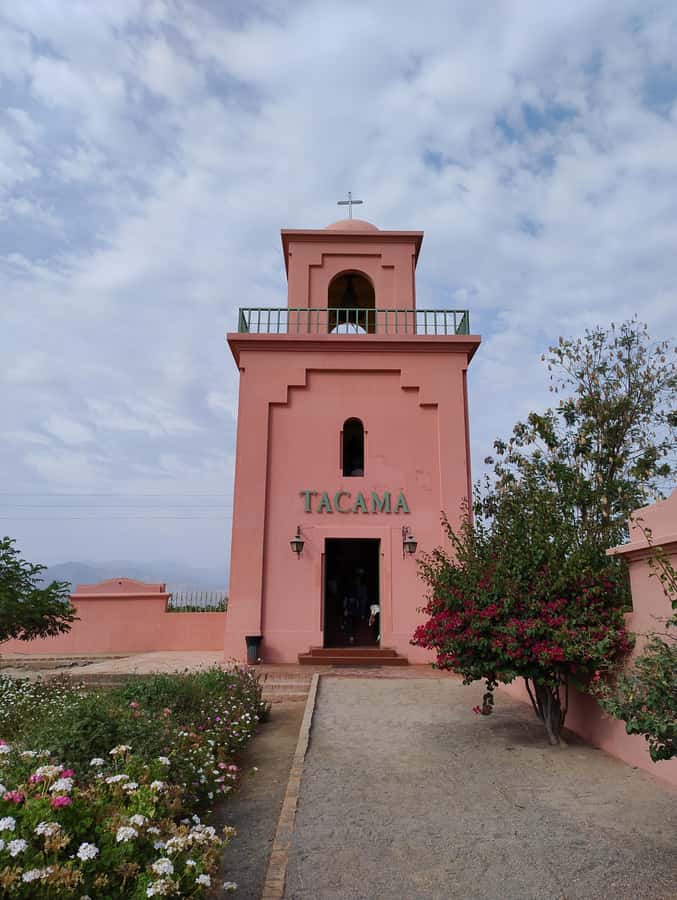 From Ica or Huacachina: Tour to Tacama Vineyard and Artisanal Winery. - Who will enjoy this tour most