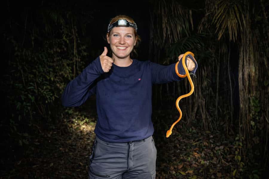 From Iquitos: 3-Day Amazon Jungle Adventure Trip - Day 3: Medicinal plants, lianas, and the return to Iquitos