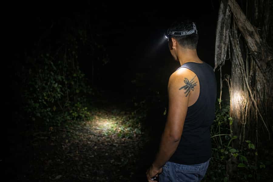 From Iquitos: 3-Day Amazon Jungle Adventure Trip - Lodge comfort, food, and the realities of jungle living