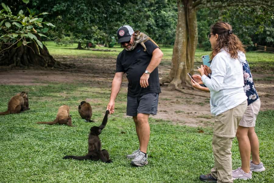 From Iquitos: 3-Day Amazon Jungle Adventure Trip - Is $467 a fair price for three days?