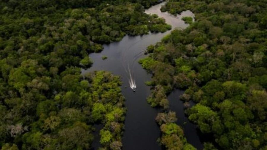 From Iquitos: 3-Day Amazon Jungle Adventure Trip - Who should book this Amazon trip?