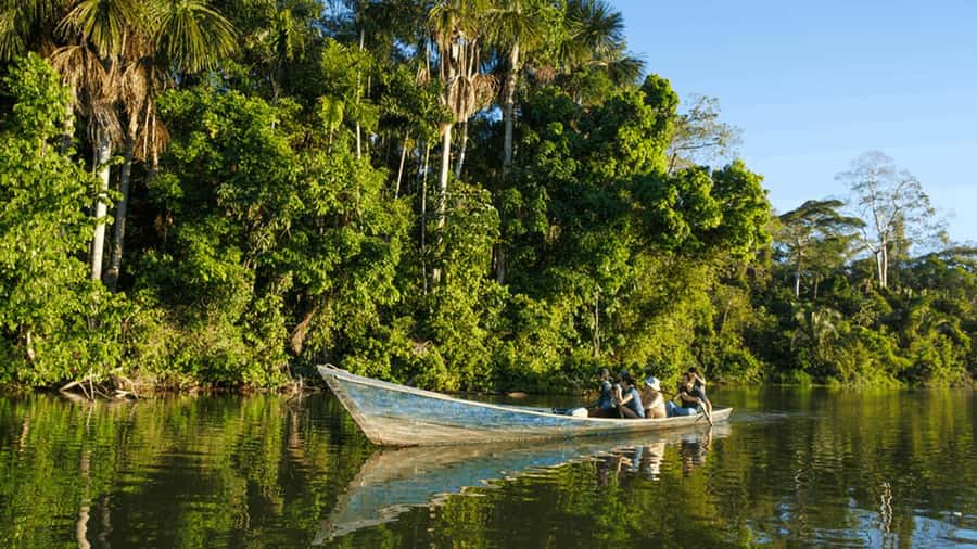 From Iquitos: Full day tour in the Peruvian jungle - Victoria Regia and the Amazon’s Water Life