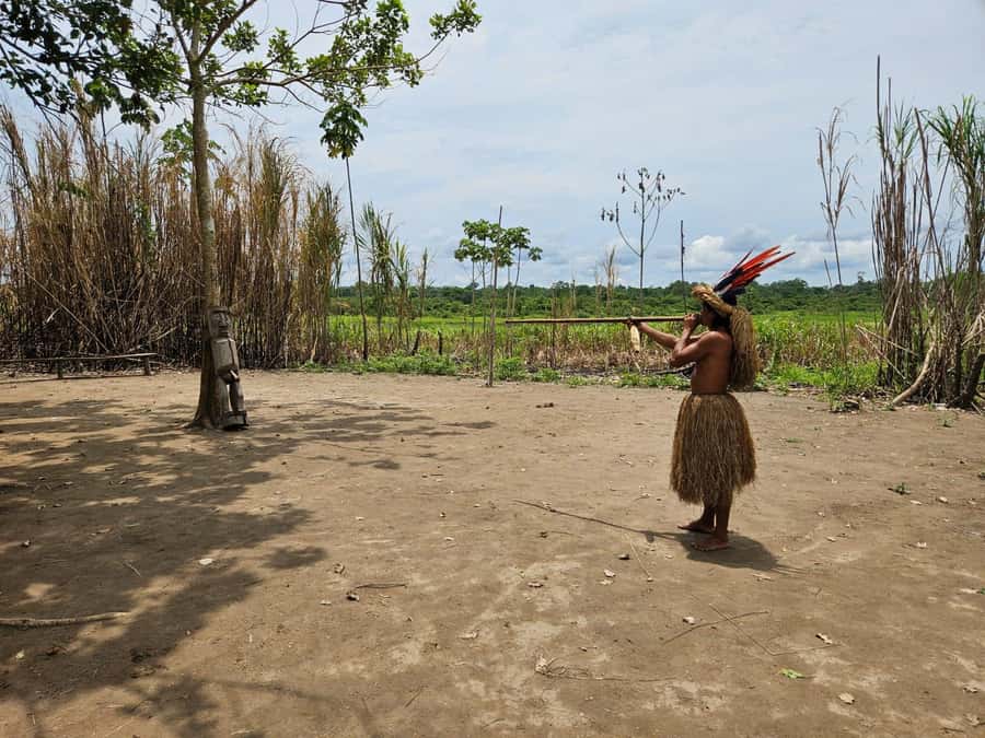 From Iquitos: Full day tour in the Peruvian jungle - A Guide Can Shape the Whole Day