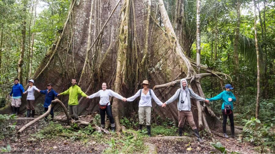 From Iquitos: Full day tour in the Peruvian jungle - Rescued Toucans, Macaws, Monkeys, and Sloths