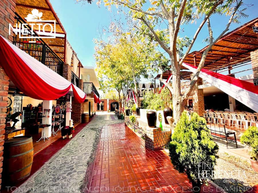 From Lima 2 days 1 night, Ballestas,Huacachina & Nazca lines - How much value does $565 provide?