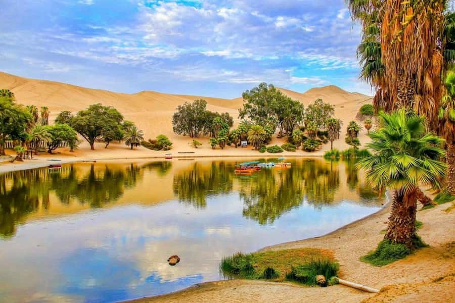 From Lima: 2 Days to Paracas & Huacachina | 2 Days/1 Night - Huacachina accommodation and the free afternoon
