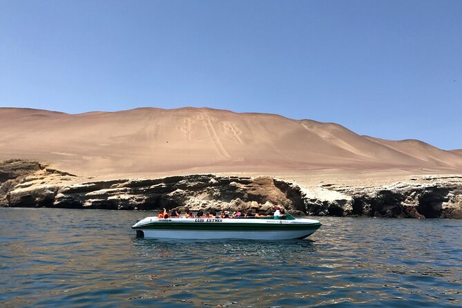 From Lima: All-Inclusive Day trip to Paracas & Huacachina Oasis - Islas Ballestas brings wildlife and the Paracas Candelabra
