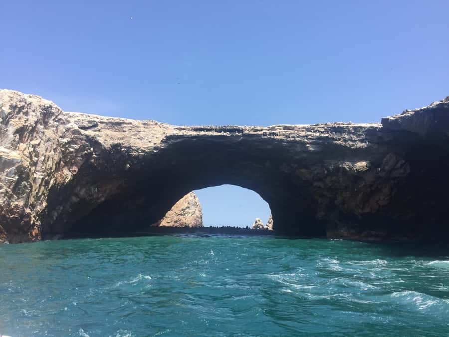 From Lima: Ballestas Islands, Huacachina, and Vineyard Tour - Why the small-group vehicle matters