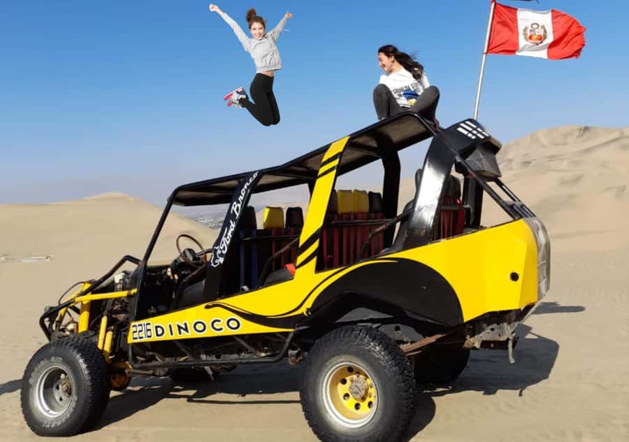 From Lima: Ballestas Islands, Huacachina with buggy Economic - Ballestas Islands wildlife from the speedboat