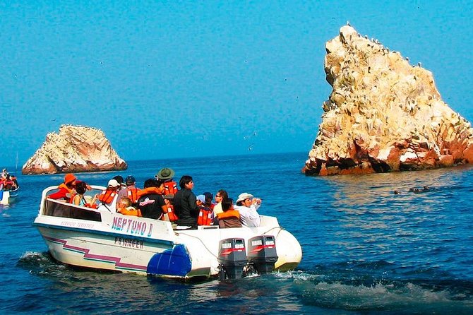 From Lima: Ballestas, Nazca Lines & Huacachina Oasis - Ballestas Islands: Wildlife From a Fast Boat